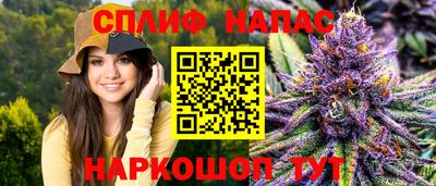 стаф Гагарин