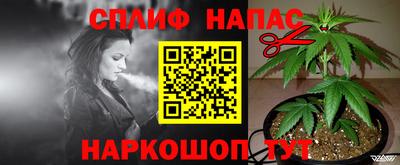 MESCALINE Гай